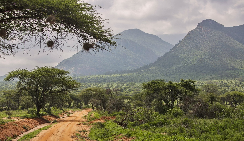 Přírodní scenérie parku Tsavo West