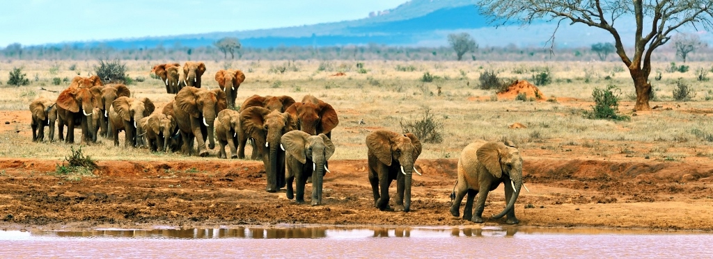 Národní park Tsavo East