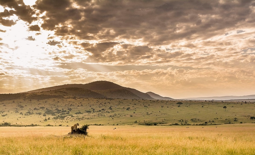 Scenérie národního parku Masai Mara