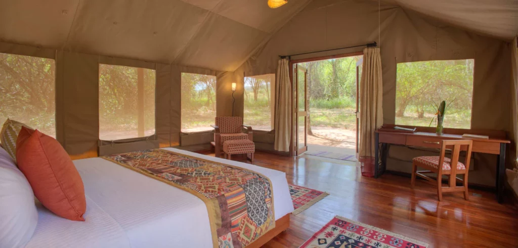 Deluxe stan v Sarova Mara